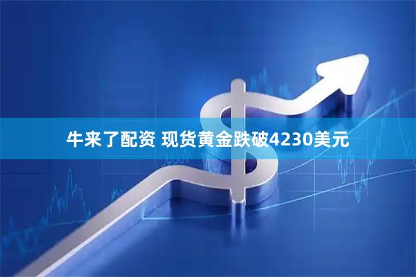 牛来了配资 现货黄金跌破4230美元