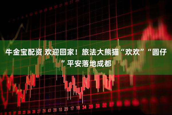 牛金宝配资 欢迎回家！旅法大熊猫“欢欢”“圆仔”平安落地成都